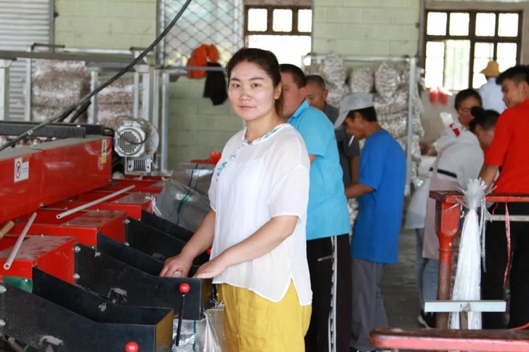 韓晴晴3.jpg 韓晴晴3.jpg