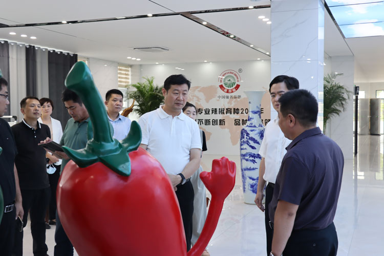 考察2.jpg 考察2.jpg